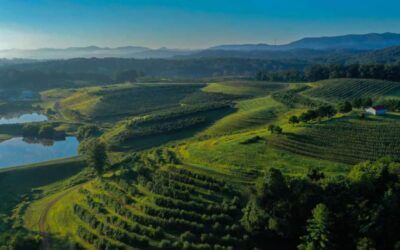 Luxury Adult Only Getaways in Blue Ridge GA | Secret Box Cabin