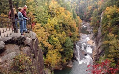 Luxury Adult Only Getaways in Blue Ridge GA | Secret Box Cabin