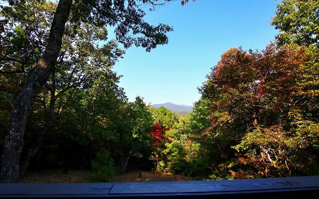 Luxury Romantic Getaway in Blue Ridge GA