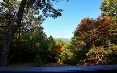 Luxury Romantic Getaway in Blue Ridge GA