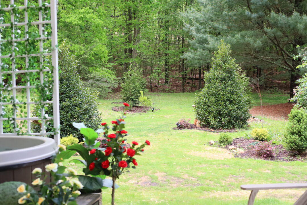 Wedding Venue Blue Ridge GA